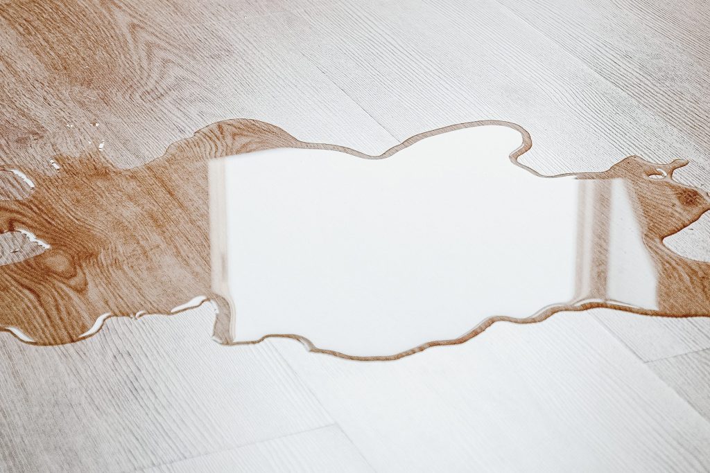 A wide puddle of clear water spreading across a pale wood floor